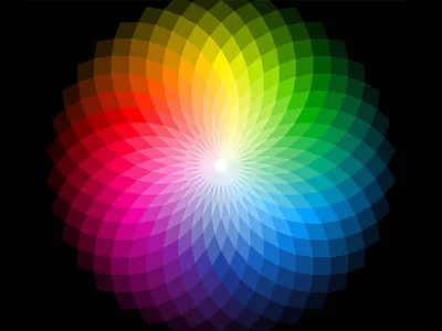 Colors